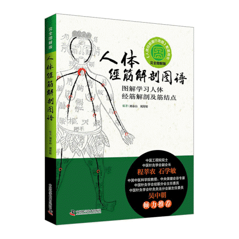 화문서적(華文書籍),人体经筋解剖图谱：图解学习人体经筋解剖及筋结点인체경근해부도보：도해학습인체경근해부급근결점